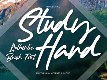 Study Hard - Authentic Brush Font Yazı Tipi