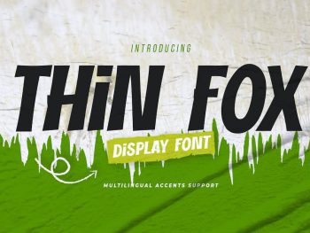 THIN FOX - Display Font Yazı Tipi