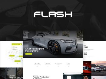 The Flash WordPress Teması