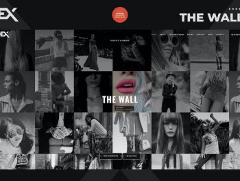 The Wall - Photography Portfolio Template Yazı Tipi