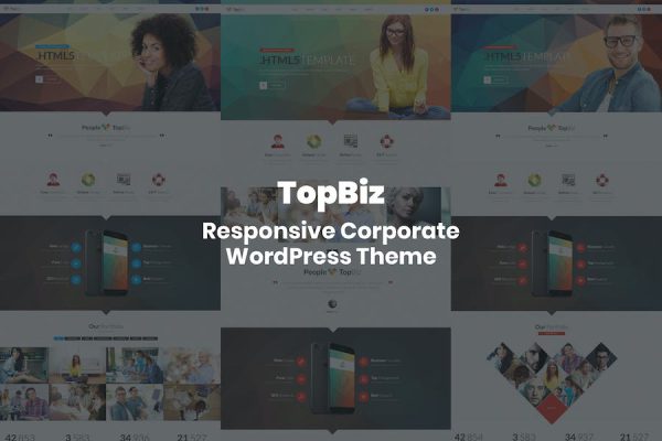 TopBiz - Responsive Corporate WordPress Teması