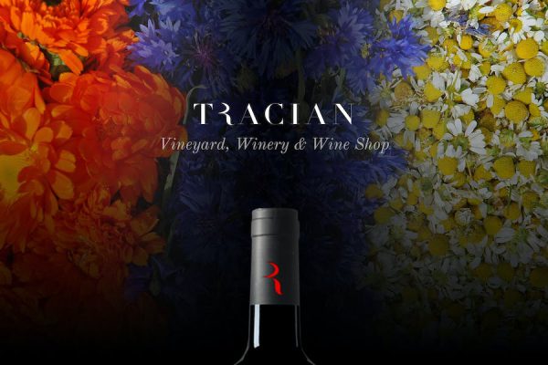 Tracian - Wine WordPress Teması