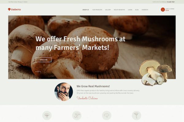 Umberto - Mushroom Farm & Organic Products Store WordPress Teması