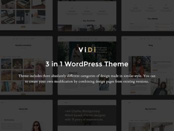 ViDi - 3 in 1 Creative WordPress Teması