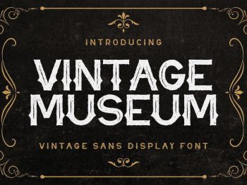 Vintage Museum - Vintage Sans Display Font Yazı Tipi