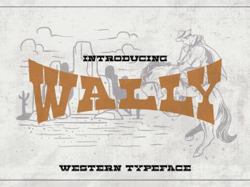 Wally - Slab Serif Display Yazı Tipi