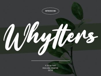 Whytters Script Font Yazı Tipi