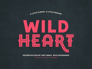 Wild Heart Decorative Display Family Yazı Tipi