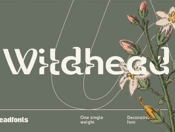 Wildhead Display Font Yazı Tipi