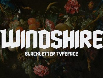 Windshire - Blackletter Typeface Yazı Tipi