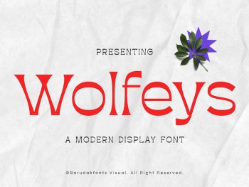 Wolfeys - Thin Sans Serif Display Font Yazı Tipi