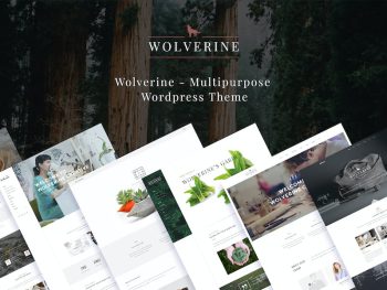 Wolverine - Responsive Multi-Purpose Theme WordPress Teması