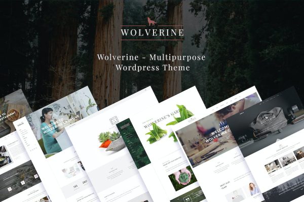 Wolverine - Responsive Multi-Purpose Theme WordPress Teması