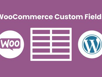 WooCommerce custom fields for products WeasyFields WordPress Eklentisi