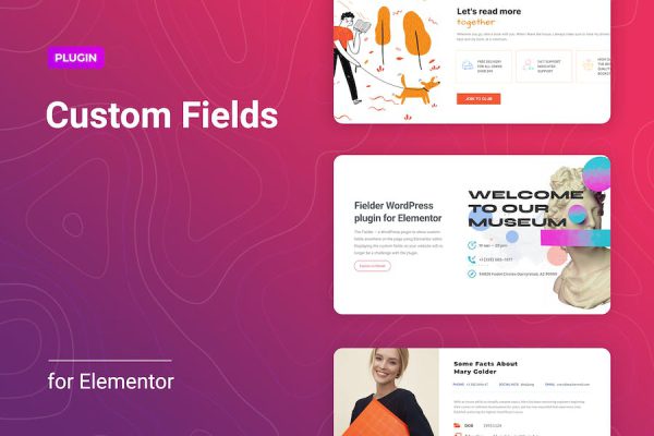 WordPress Custom Fields for Elementor WordPress Eklentisi