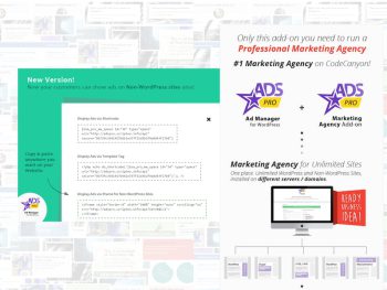 WordPress Marketing Agency - Ads Pro MA add-on WordPress Eklentisi
